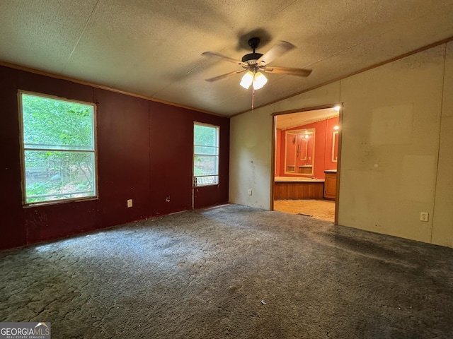 57 Pleasant Ln, Comer, GA 30629 - carpeted spare room featuring a textured ceiling, lofted ceiling, and ceiling fan