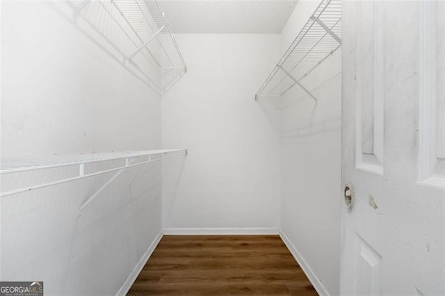walk in closet with dark wood-style flooring