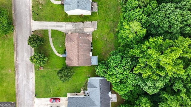 bird's eye view