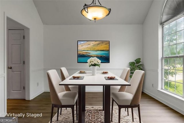dining room featuring wood finished floors, healthy amount of natural light, and baseboards