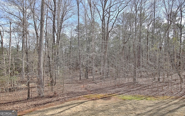 315 Antebellum Way, Fayetteville, GA 30215 - view of undeveloped land