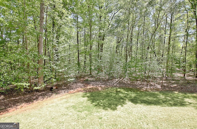 315 Antebellum Way, Fayetteville, GA 30215 - view of green lawn