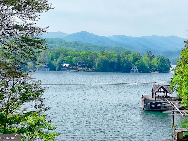 water view with a mountainous background and a forest