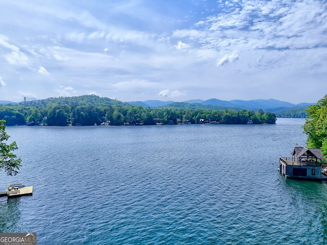 water view featuring a mountain backdrop