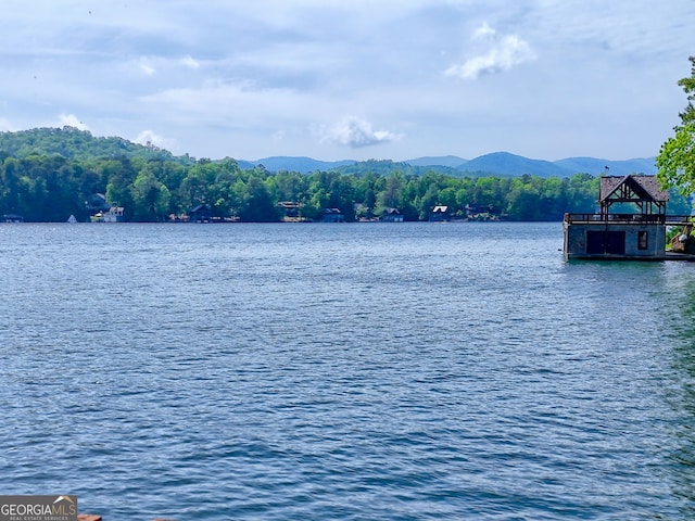 water view featuring a mountain backdrop