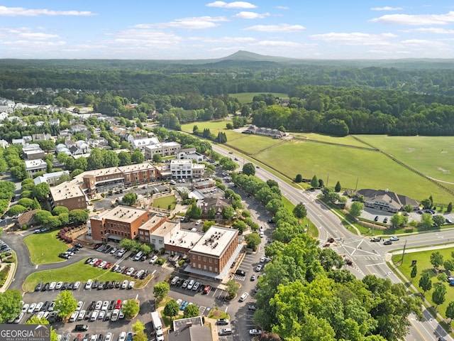 6815 Berkley Rd, Cumming, GA 30040 - aerial view of a heavily wooded area