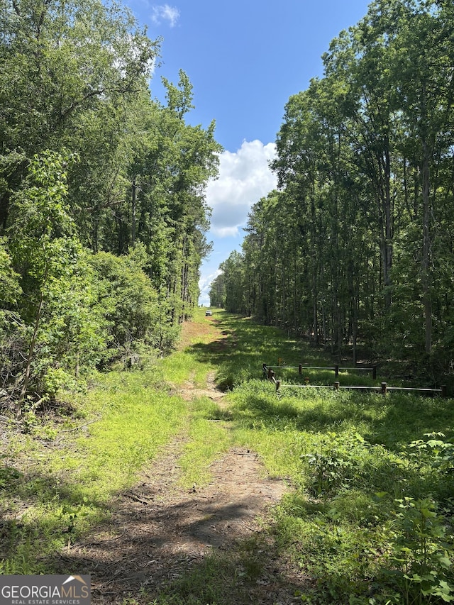 0 N Porter Rd, Shiloh, GA 31826
