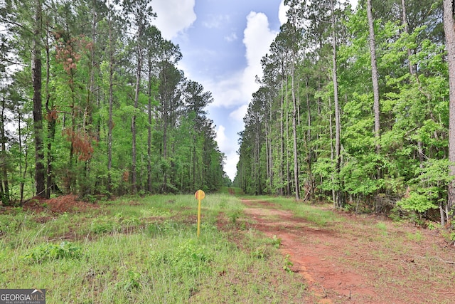 0 N Porter Rd, Shiloh, GA 31826