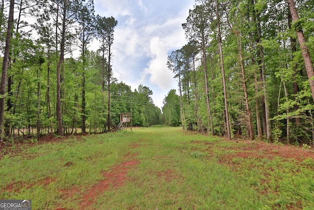 0 N Porter Rd, Shiloh, GA 31826