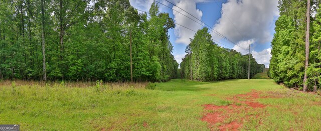 0 N Porter Rd, Shiloh, GA 31826