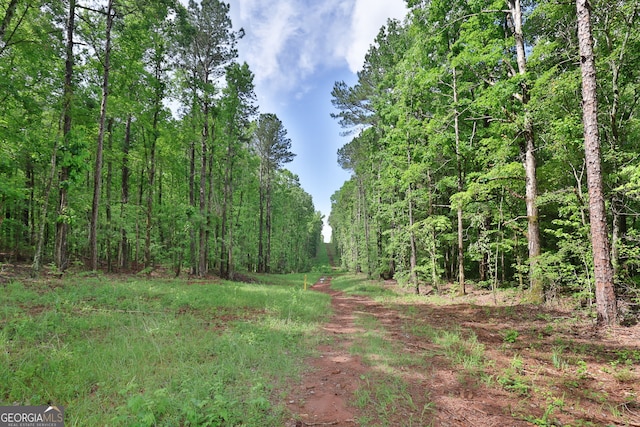 0 N Porter Rd, Shiloh, GA 31826