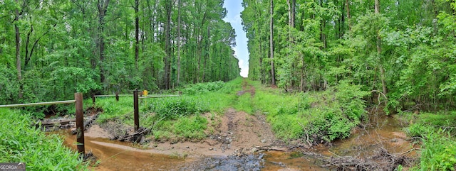 0 N Porter Rd, Shiloh, GA 31826