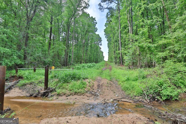 0 N Porter Rd, Shiloh, GA 31826