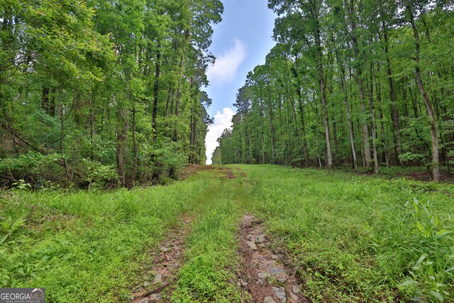 0 N Porter Rd, Shiloh, GA 31826