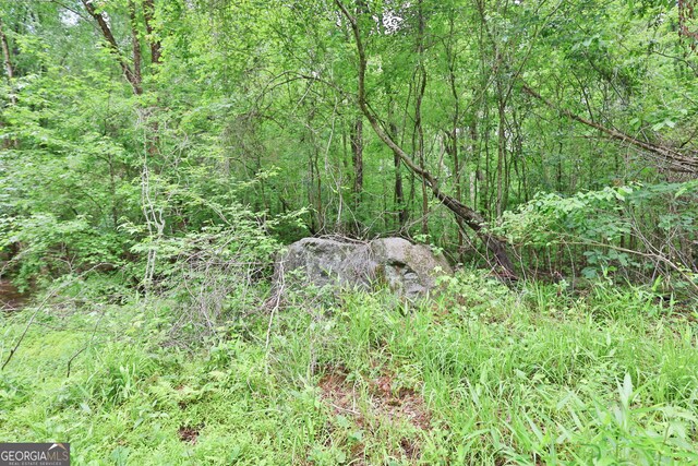 0 N Porter Rd, Shiloh, GA 31826