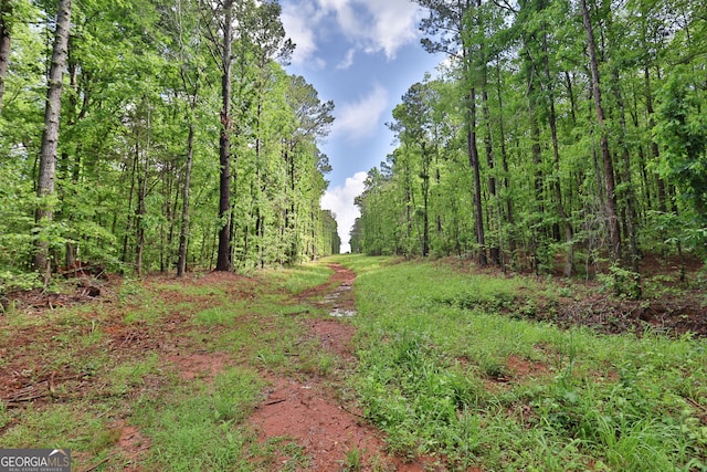 0 N Porter Rd, Shiloh, GA 31826