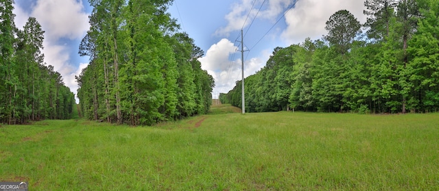 0 N Porter Rd, Shiloh, GA 31826