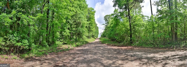 0 N Porter Rd, Shiloh, GA 31826