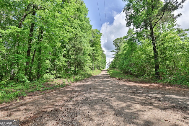 0 N Porter Rd, Shiloh, GA 31826