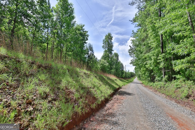 0 N Porter Rd, Shiloh, GA 31826