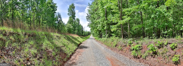 0 N Porter Rd, Shiloh, GA 31826
