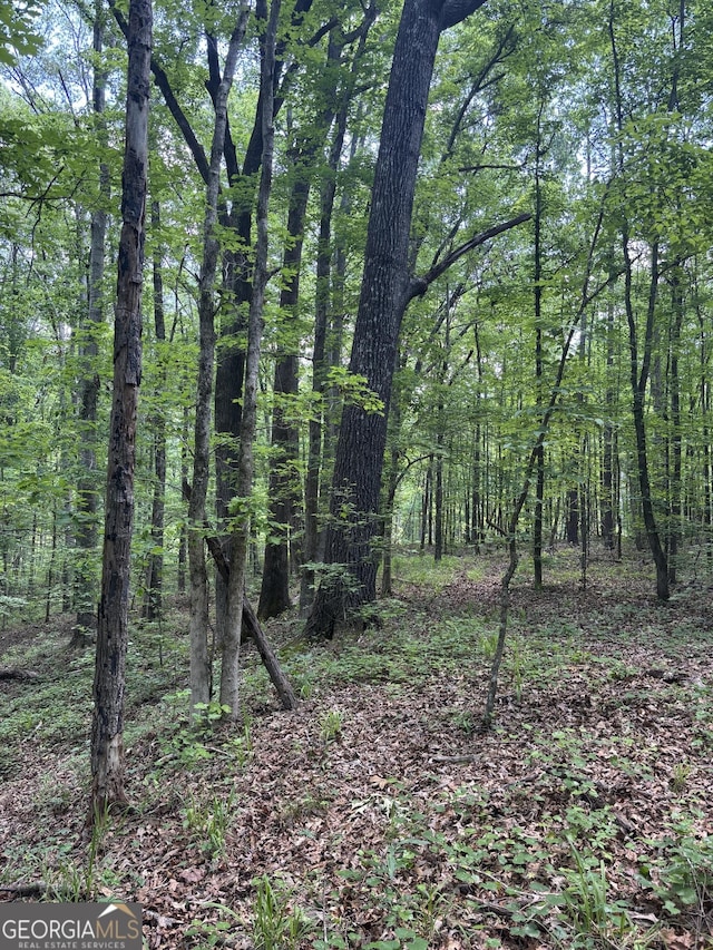 0 N Porter Rd, Shiloh, GA 31826