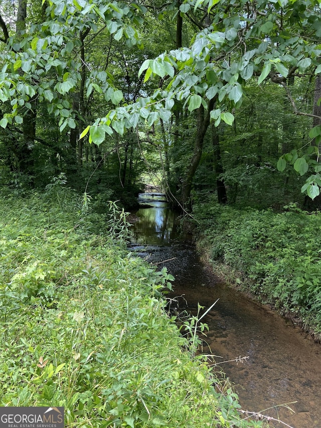 134 Lloyd Way, Resaca, GA 30735 - view of undeveloped land
