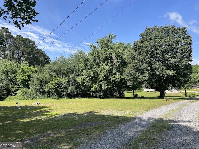 134 Lloyd Way, Resaca, GA 30735 - view of green lawn