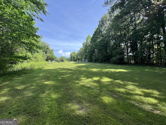 view of green lawn
