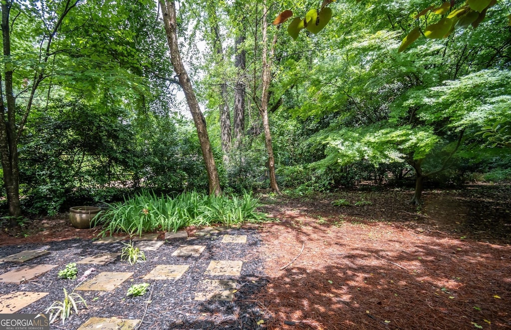 127 Chestnut Ln, Athens, GA 30606 - view of yard