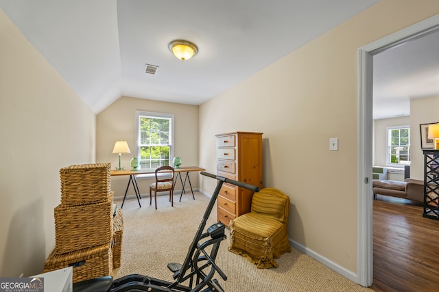 127 Chestnut Ln, Athens, GA 30606 - office area with plenty of natural light, vaulted ceiling, and carpet flooring