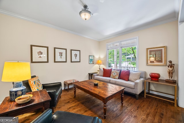 127 Chestnut Ln, Athens, GA 30606 - living room with ornamental molding and wood finished floors