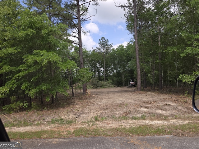 106 Sarah Kate Way, Gordon, GA 31031 - view of undeveloped land