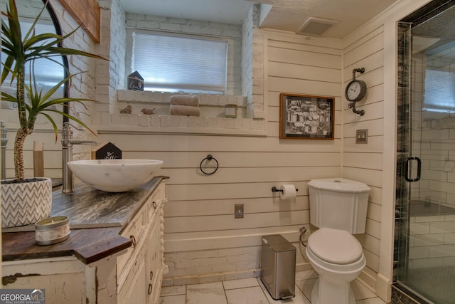 full bathroom featuring a shower stall, toilet, vanity, and healthy amount of natural light