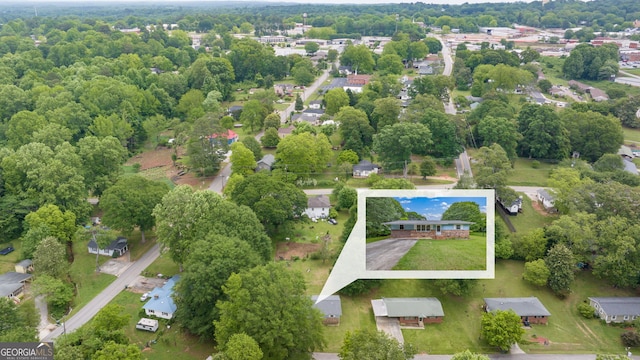 drone / aerial view