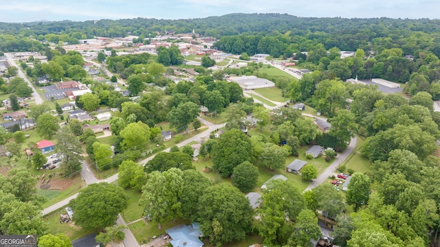 bird's eye view of a forest