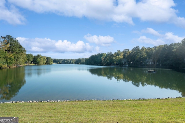 9020 Lakeview Pkwy, Villa Rica, GA 30180 - water view featuring a forest