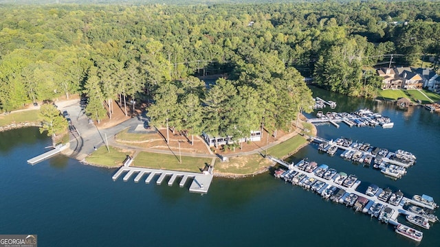 9020 Lakeview Pkwy, Villa Rica, GA 30180 - aerial overview of property's location featuring a forest, a large body of water, and a marina