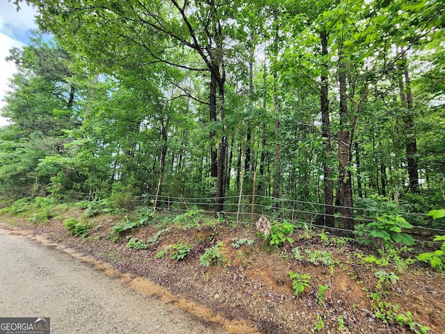 2760 Kesler Rd, Carnesville, GA 30521