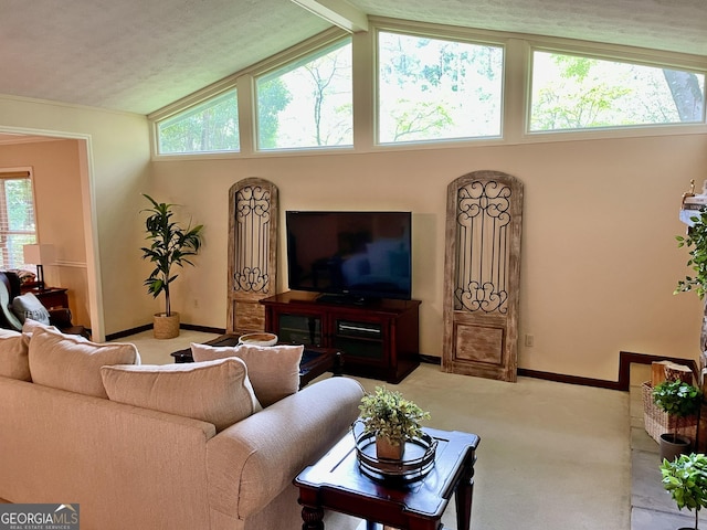 1260 Willeo Creek Dr, Roswell, GA 30075 - living room featuring light colored carpet and high vaulted ceiling