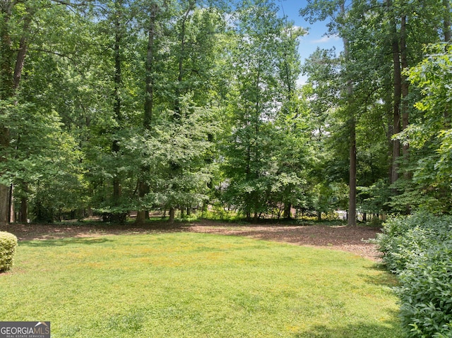 1260 Willeo Creek Dr, Roswell, GA 30075 - view of green lawn