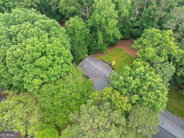 1260 Willeo Creek Dr, Roswell, GA 30075 - bird's eye view