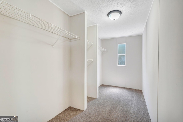 27 Pocahontas Rd, Midway, GA 31320 - walk in closet with carpet floors