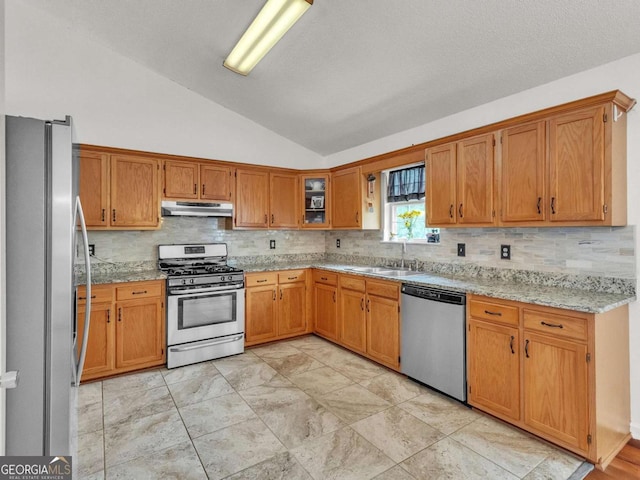 kitchen featuring stainless steel appliances, under cabinet range hood, lofted ceiling, a sink, and decorative backsplash