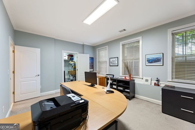 4298 Kingston Gate Cv, Chamblee, GA 30341 - office space with light carpet, crown molding, and baseboards