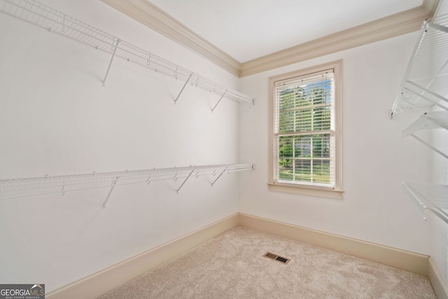 spacious closet with carpet