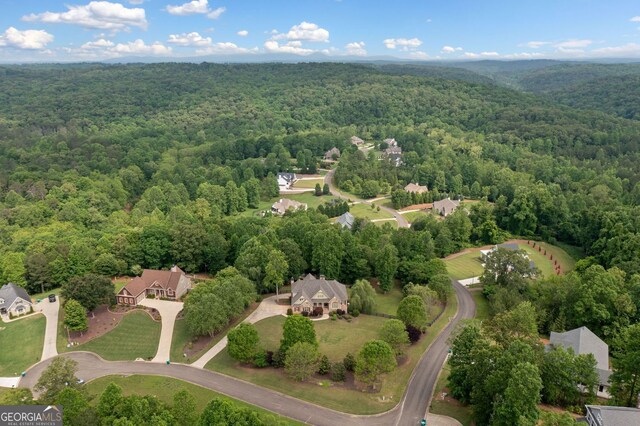 300 Hemlock Cv, Ball Ground, GA 30107 - bird's eye view of a heavily wooded area