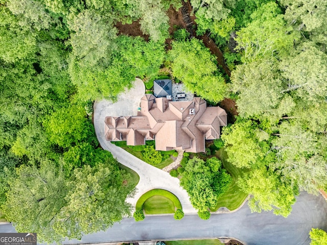 3905 Merriweather Woods, Johns Creek, GA 30022 - bird's eye view