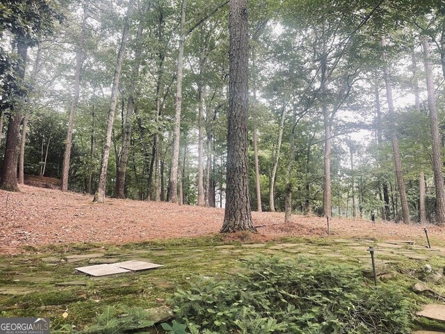 3905 Merriweather Woods, Johns Creek, GA 30022 - view of yard