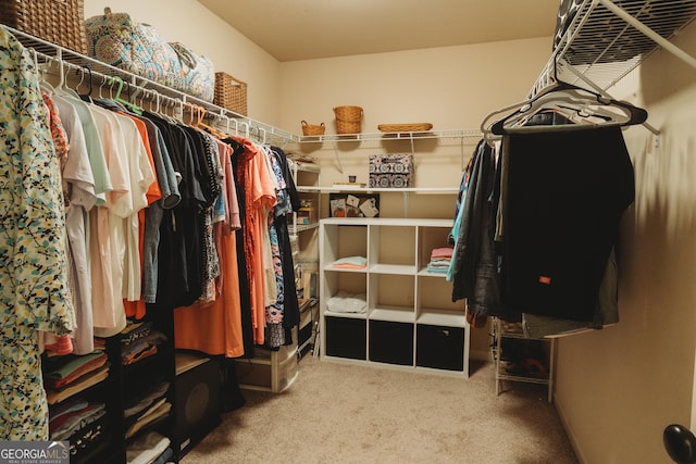258 Creek View Ln, Acworth, GA 30102 - spacious closet featuring carpet floors